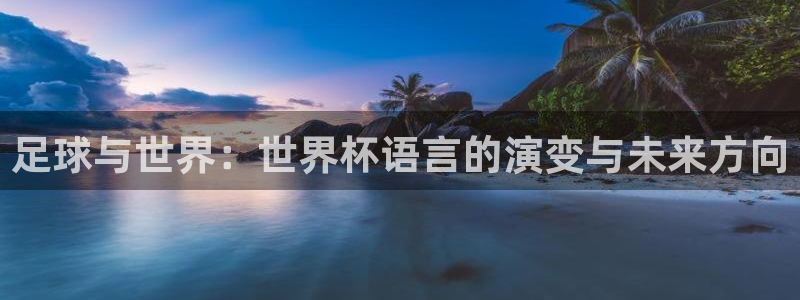 世界杯预选赛规则：足球与世界：世界杯语言的演变与未来方向