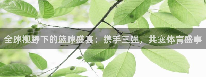 2026世界杯直播：全球视野下的篮球盛宴：携手三强，共襄体育盛事