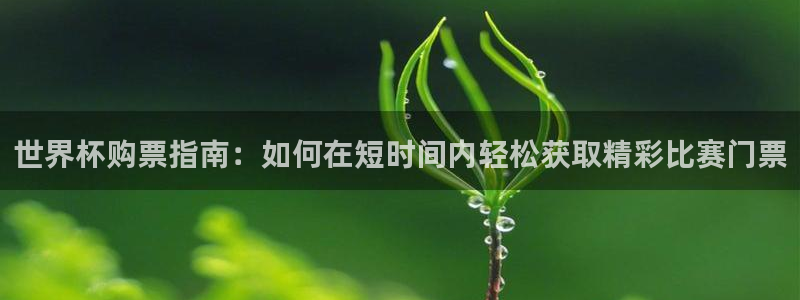 2026世界杯倒计时：世界杯购票指南：如何在短时间内轻松获取精彩比赛门票