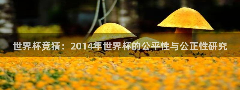 世预赛欧洲赛程表：世界杯竞猜：2014年世界杯的公平性与公正性研究