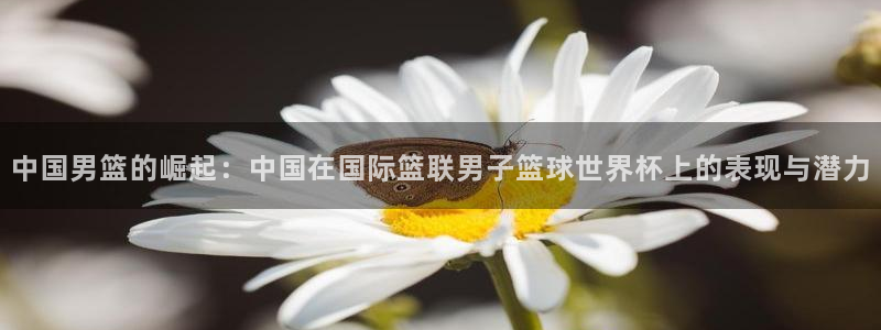 世界杯预选赛欧洲赛区赛程：中国男篮的崛起：中国在国际篮联男子篮球世界杯上的表现与潜力