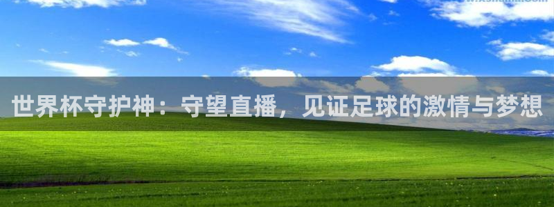 足球世界杯预选赛：世界杯守护神：守望直播，见证足球的激情与梦想
