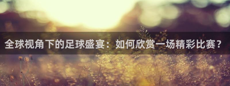 世界杯今年：全球视角下的足球盛宴：如何欣赏一场精彩比赛？