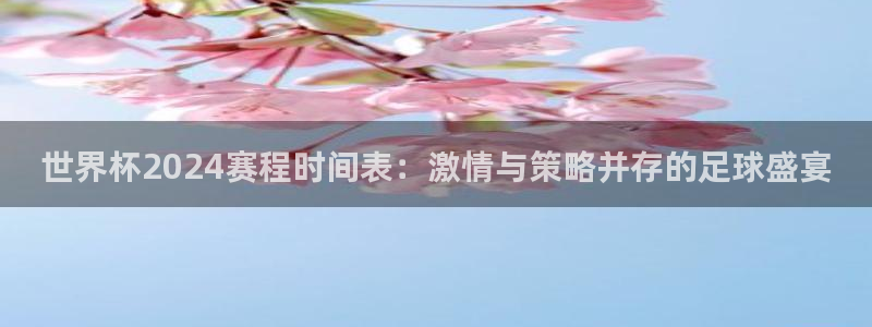 世界杯决赛预测：世界杯2024赛程时间表：激情与策略并存的足球盛宴