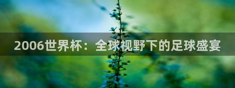 女足世界杯直播在线观看免费高清：2006世界杯：全球视野下的足球盛宴