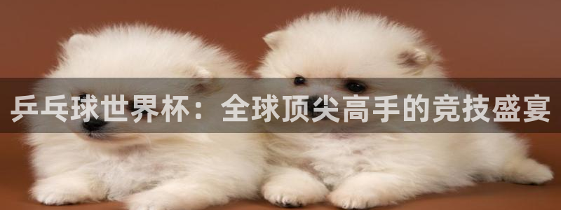 2026足球世界杯赛程：乒乓球世界杯：全球顶尖高手的竞技盛宴