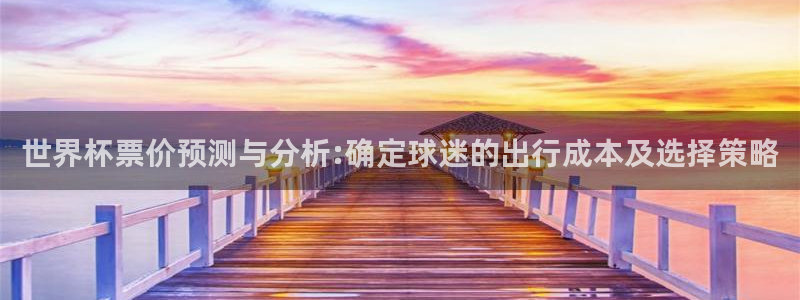 2026世界杯中国队：世界杯票价预测与分析:确定球迷的出行成本及选择策略