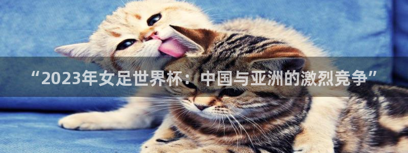 2026世界杯日期:“2023年女足世界杯:中国与亚洲的激烈竞争”