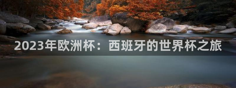 2026世界杯买球:2023年欧洲杯:西班牙的世界杯之旅